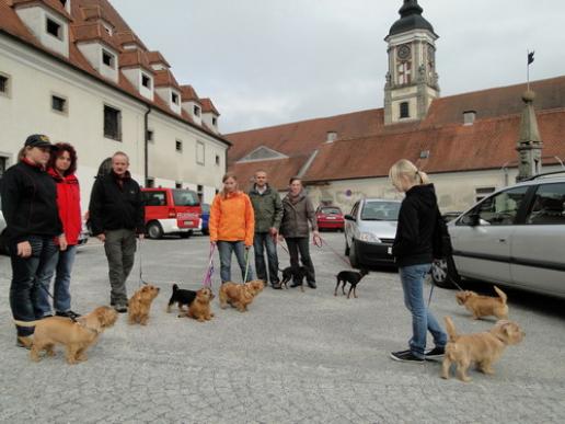 Wir fahren dann nach Hause