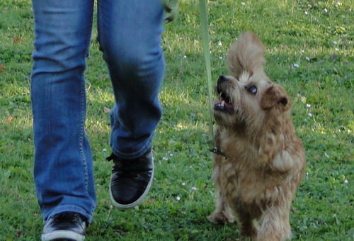 Amali beim Training