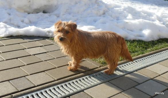 Wendy geht bald zum Friseur