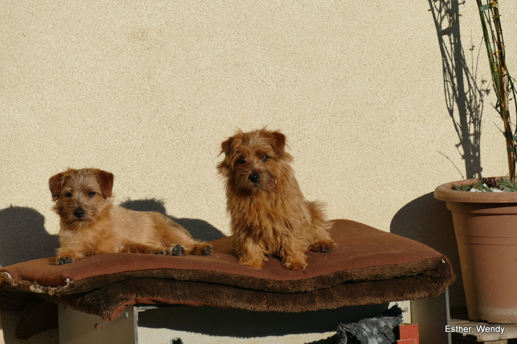 Esther und Wendy