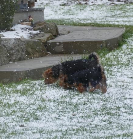 Der Winter ist zurück