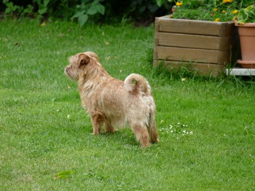 Esther was siehst du?