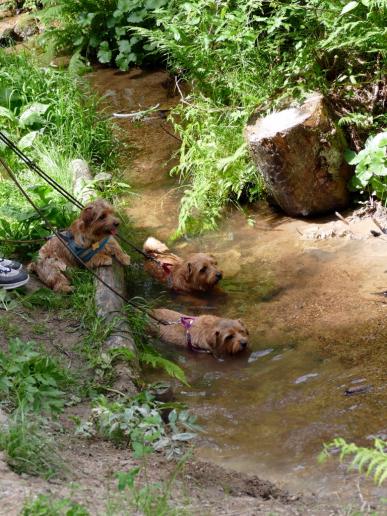 Abkühlung beim Wandern