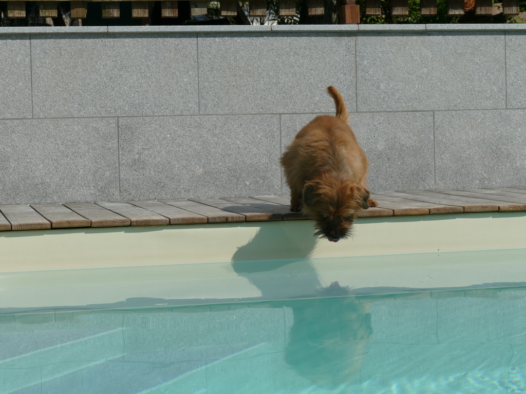 Achtung ich springe!