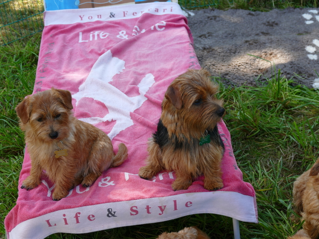 Esther und Eric