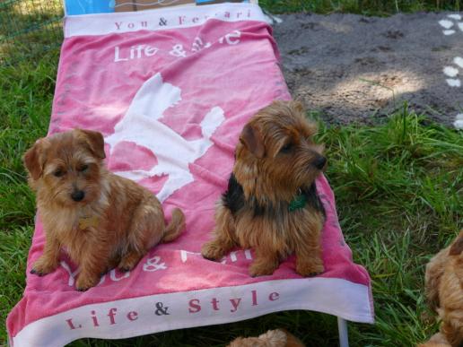 Esther und Eric