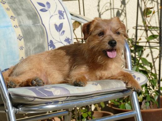 Esther nach dem Friseur