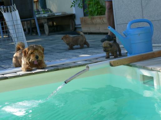 Wassernachfüllung ist auch interessant