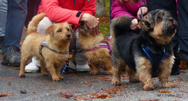 Nicoletta, Quendoline und Percy