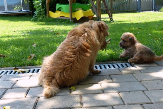 Pandora und Wendy