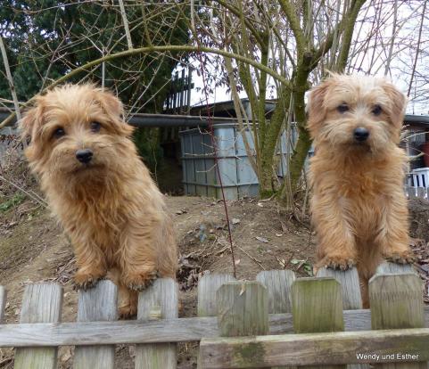 Wendy und Esther