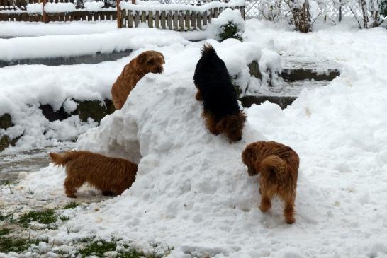 Herrli hat uns etwas mit Schnee gebaut