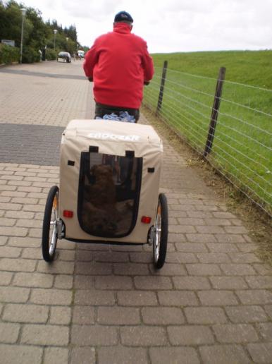 Mit dem Rad gehts an den Strand