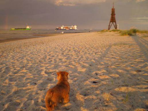 Nordsee - Auf Wiedersehen!